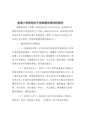县审计局党组关于巡察整改情况的报告&巡察工作党建问题整改经验材料.docx