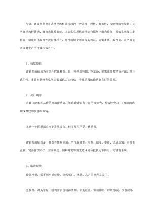 图文详解禽霍乱诊疗措施.docx