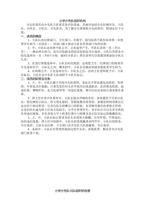 ((一)小学少先队组织机构.docx