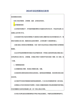 2024年项目预算岗位职责.docx