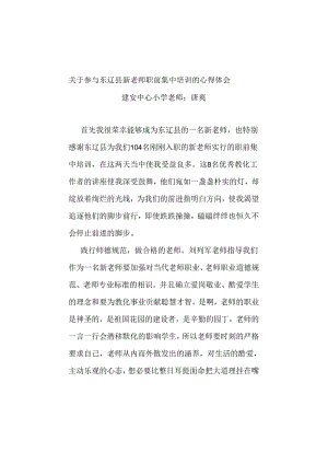 -新教师职前集中培训的心得体会-.docx