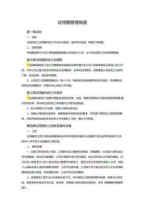 003试用期管理制度.docx