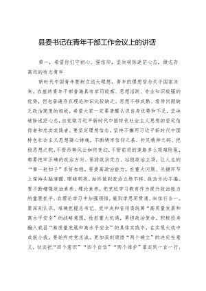 县委书记在青年干部工作会议上的讲话.docx