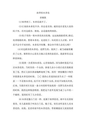 《雨季的木香花》原文.docx