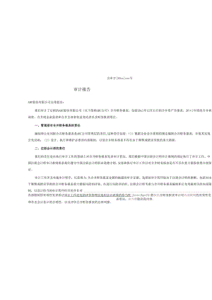 0-3-3保留意见审计报告(合并-无法获取证据).docx