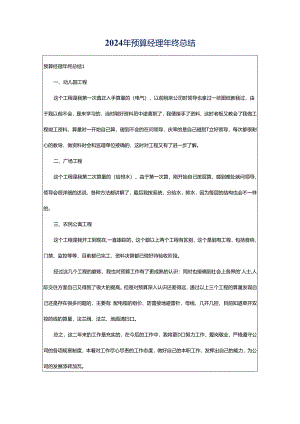 2024年预算经理年终总结.docx