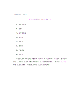 【爵床科植物】蓝花草.docx