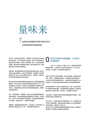 2024数字化发展卓越表现报告.docx