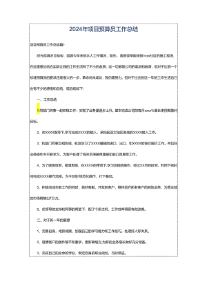 2024年项目预算员工作总结.docx