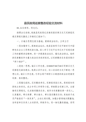 县民政局巡察整改经验交流材料&学习贯彻市委巡察工作推进会研讨发言.docx