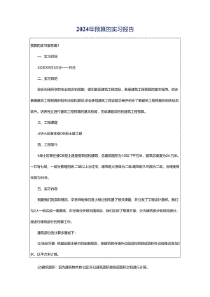 2024年预算的实习报告.docx