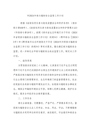 市2024年核与辐射安全监管工作计划.docx