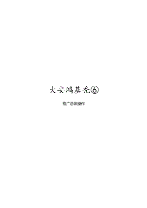 X花园推广总体操作.docx