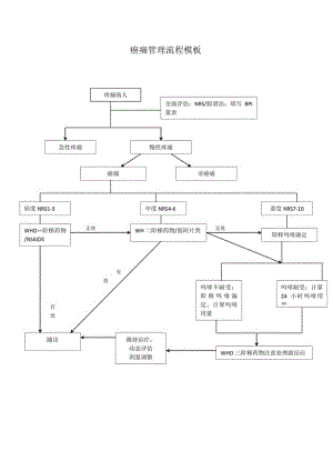 癌痛管理流程模板.docx