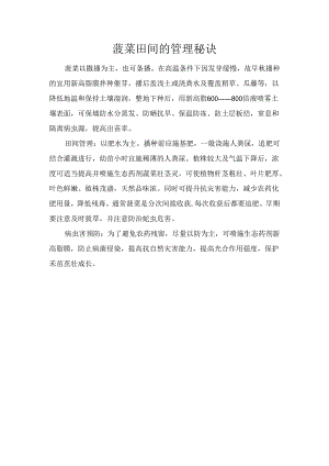 菠菜田间的管理秘诀.docx