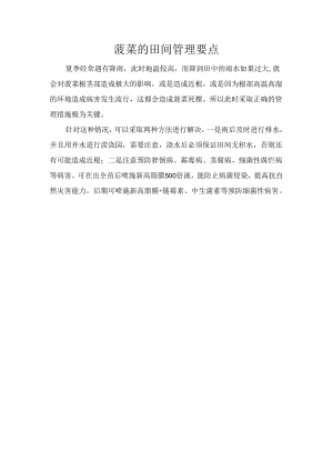 菠菜的田间管理要点.docx