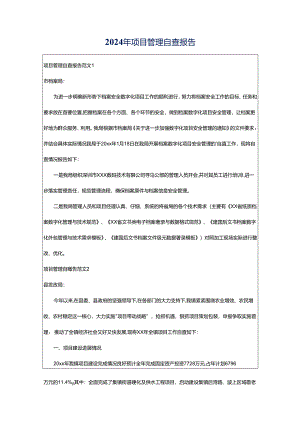 2024年项目管理自查报告.docx