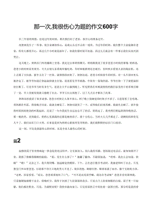 那一次,我很伤心为题的作文600字.docx
