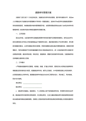 道路停车管理方案.docx