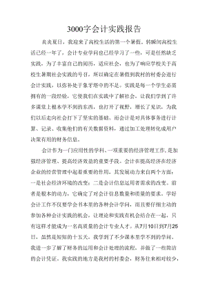 3000字会计实践报告.docx