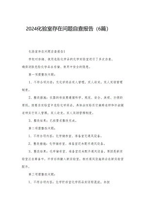 2024化验室存在问题自查报告（6篇）.docx