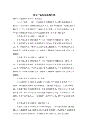 现在什么行业最有前景.docx