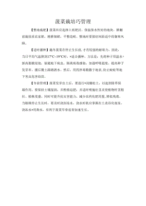 菠菜栽培巧管理.docx