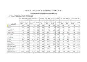 上市公司财务指标指数(2024上半年).docx