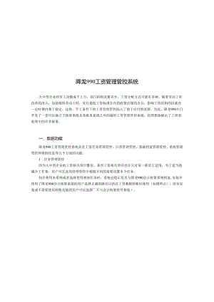XX企业工资管理系统手册范文.docx