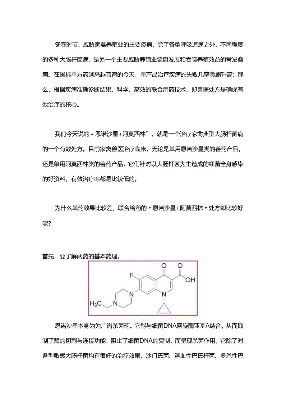 “恩诺沙星+阿莫西林”两药联合使用的技术点.docx_第1页