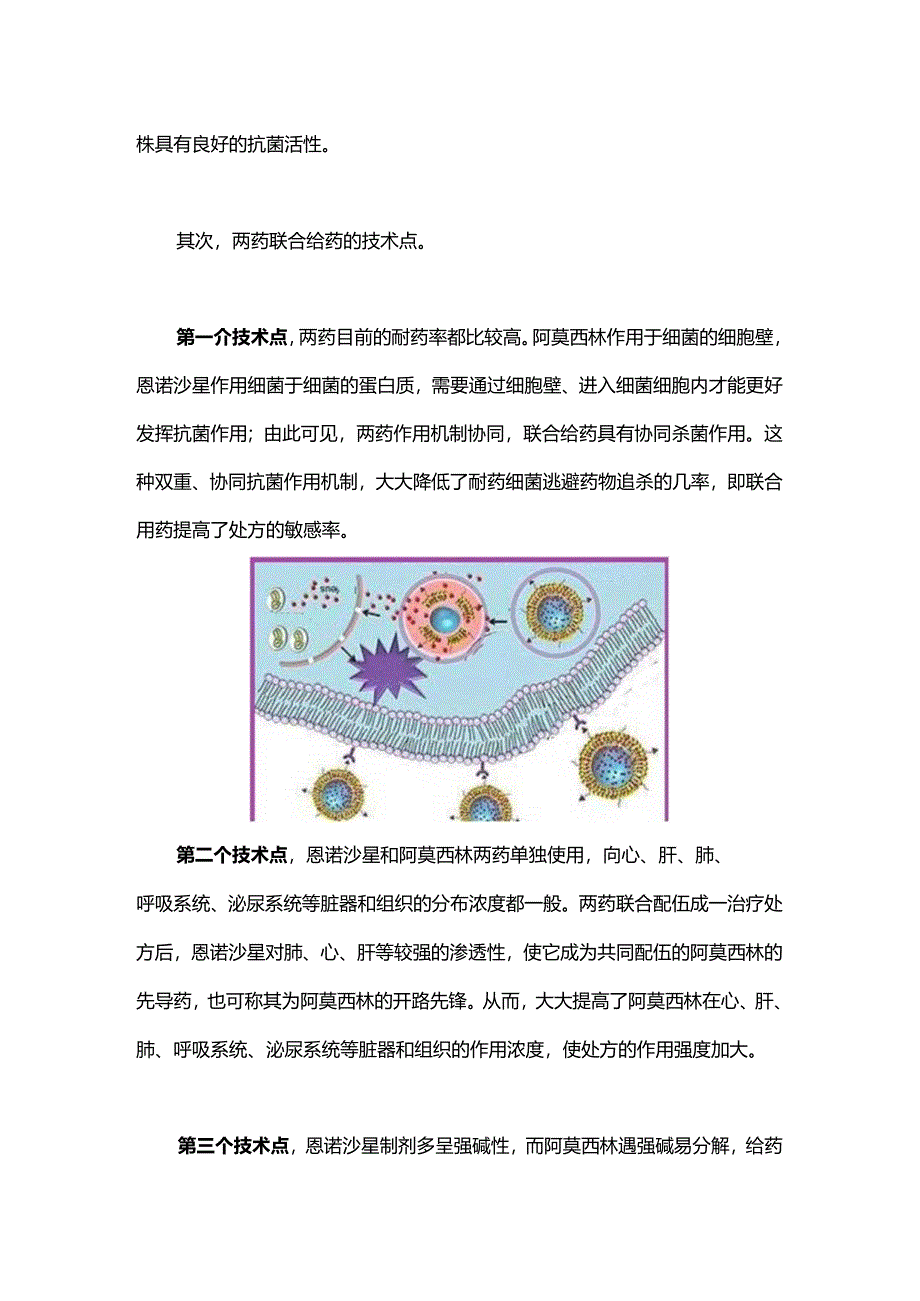 “恩诺沙星+阿莫西林”两药联合使用的技术点.docx_第3页