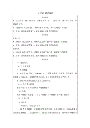 《天窗》精品教案.docx