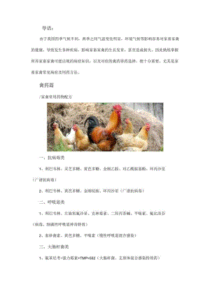 禽药的选择与用药.docx