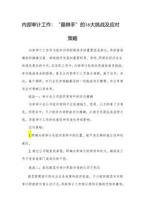 审计技巧：内部审计工作“最棘手”的16大挑战及应对策略.docx