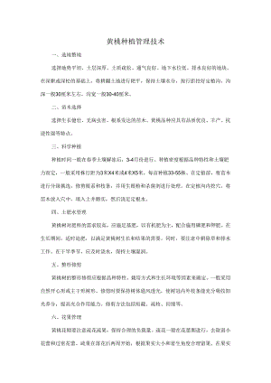 黄桃种植管理技术.docx