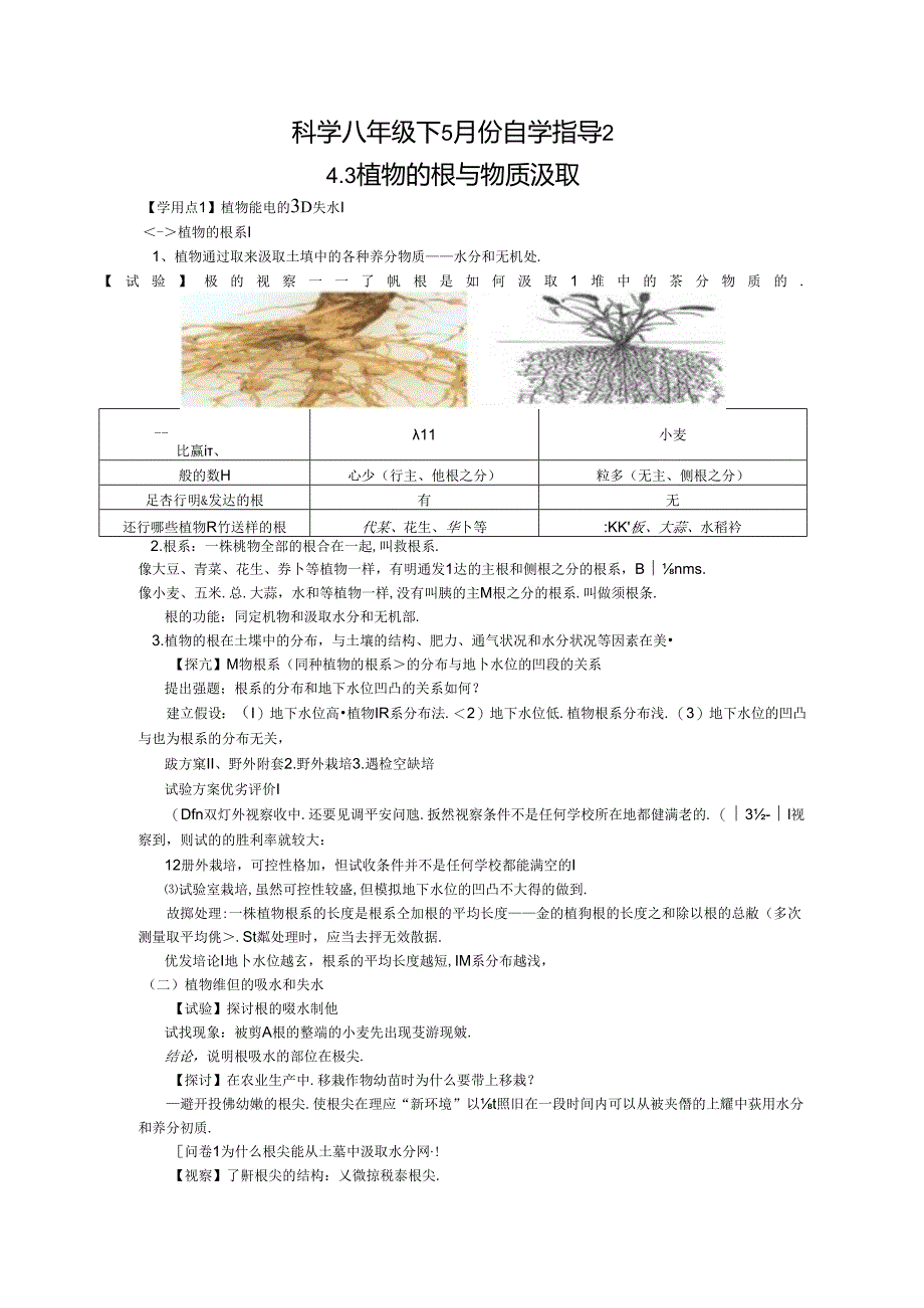 4.3 植物的根与物质吸收.docx_第1页