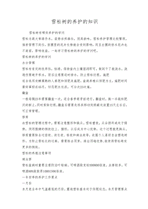 雪松树的养护的知识.docx