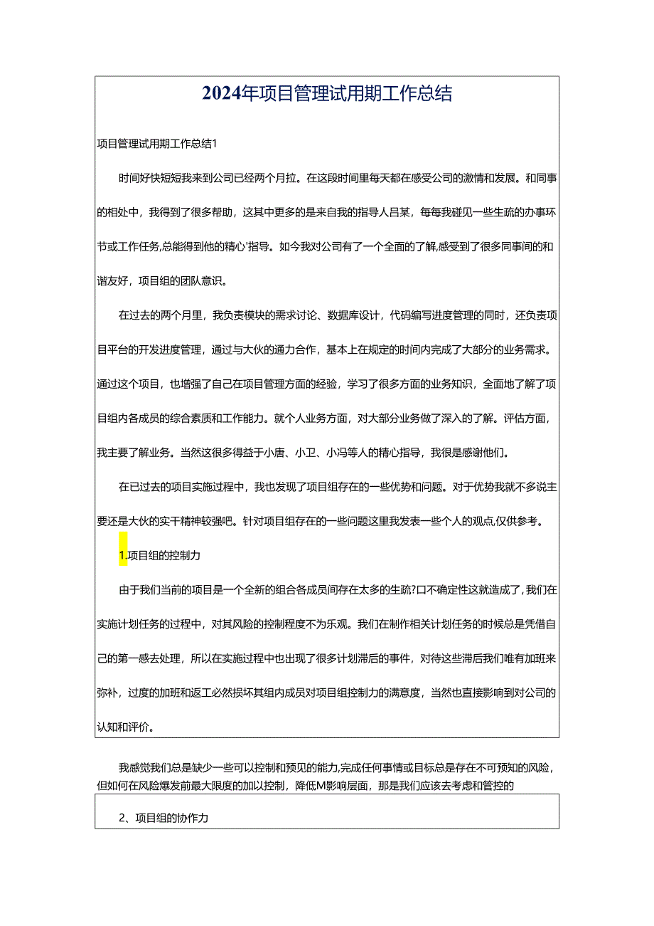 2024年项目管理试用期工作总结.docx_第1页
