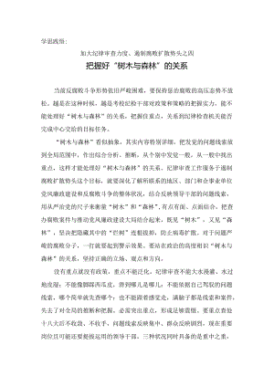 4把握好“树木与森林”的关系.docx