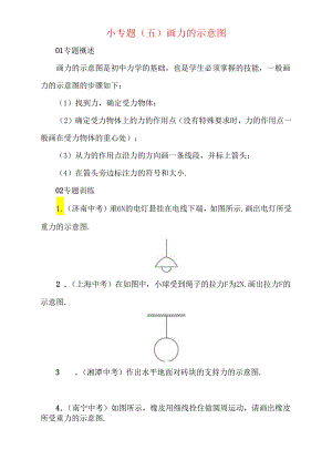 小专题(五)画力的示意图测试题.docx