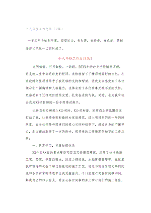 个人年度工作总结（2篇）.docx