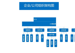 企业公司组织架构图(企业行政人事管理.docx