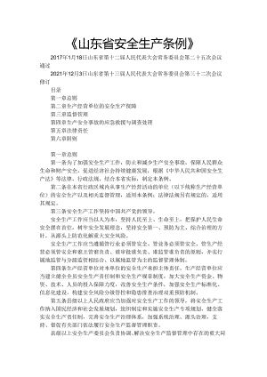山东省安全生产条例.docx