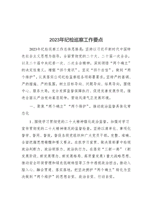2023年纪检巡察工作要点&局党组关于巡察反馈问题的整改报告.docx