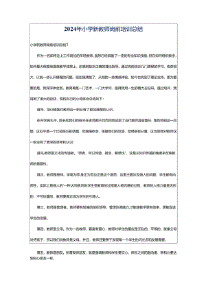 2024年小学新教师岗前培训总结.docx