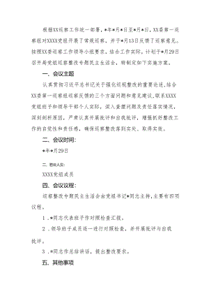 巡察整改专题民主生活会方案（模板）.docx