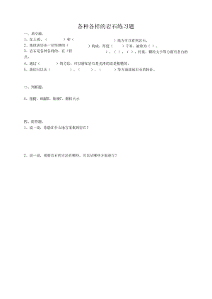 小学科学粤教粤科版四年级上册《各种各样的岩石》练习（含答案）.docx