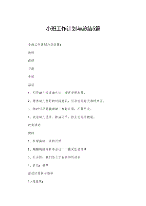 小班工作计划与总结5篇.docx