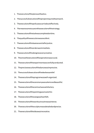 执行做名词造句.docx