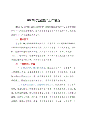 2023年安全生产工作情况.docx